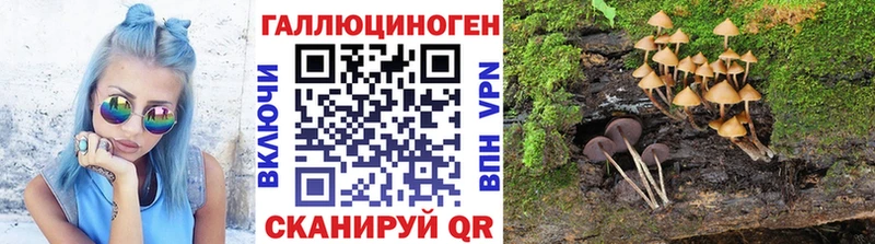 Псилоцибиновые грибы Psilocybine cubensis  купить   Чаплыгин 